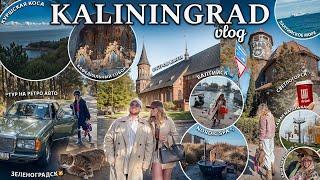 КАЛИНИНГРАД VLOG️ Светлогорск, Балтийск..Куршская Коса,Остров Канта, Зеленоградск и Кошки