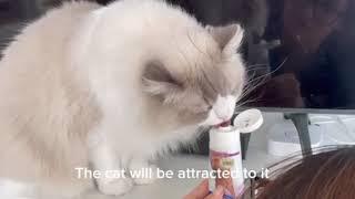 cat hairball solution gel