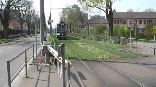 Drämmli - Trams in Basel