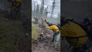 Wildland Firefighters Cutting Line in Alaska