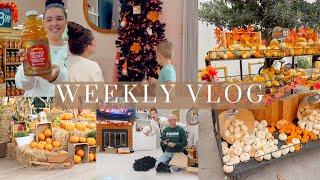 Vlog | Trader Joes Shop With Me + Haul, Decorating For Halloween, &  GRWM