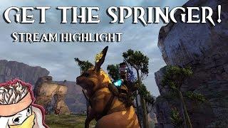 Guild Wars 2: The Springer  | HOW TO GET IT | EVENT | STREAM HIGHLIGHT