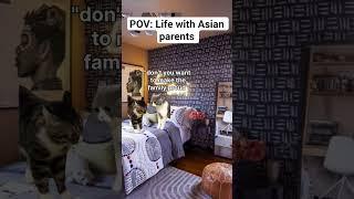 CatMemes Life with Asian parents #catmemes #relatable #funny#asian#parenting