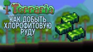 КАК И ЧЕМ ДОБЫТЬ ХЛОРОФИТОВУЮ РУДУ В ИГРЕ ТЕРРАРИЯ. КАК ДОБЫТЬ ХЛОРОФИТ В TERRARIA. ХАРДМОД