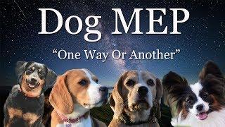 DOG MEP | One Way Or Another | Xena~Gina~Vic~Daddy