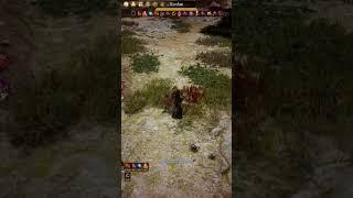 Black Desert PVP Maegu POV  #bdo #fyp #viralvideo  #pvp #gaming #ps5 #xbox #mmorpg #pc #pcgaming