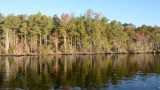 Alligator to Pungo River Canal