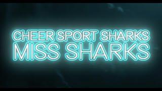 Cheer Sport Sharks New England Miss Sharks 2023-2024