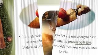 Detailing The Cricket Odds Live