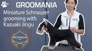 Miniature Schnauzer Grooming with Kazuaki Jingu | Groomania 2021 Grooming Demonstration