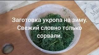 Заготовка укропа на зиму. Свежий вкус, словно только сорвали!