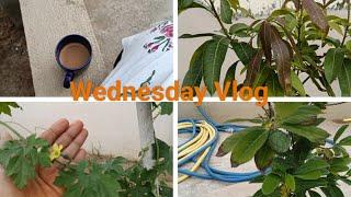 Wednesday Vlog #9 | Ammi's Health Update | Alhamdulillah Ammi theek hai