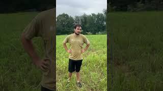 Donated blight resistant chestnut orchard project part 1 #stopeminentdomain