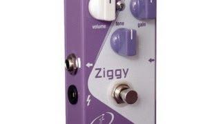 Crazy Tube Circuits Ziggy Overdrive, demo by Pete Thorn/Vintage King