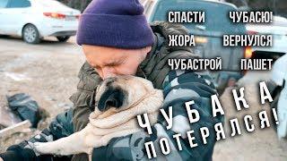 Чубака потерялся! ЧубаСтрой - строим дом в Крыму!