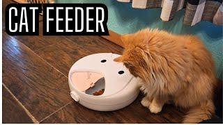 Cordless Cat Feeder for wet or dry food