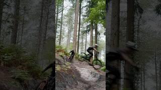  MTB vs EMTB  #mtb #emtb #ebike #downhill #extreme #stunt #bike #mtblife #bikelife #mountainbike