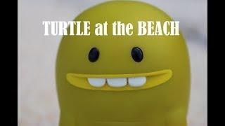 Turtle at the beach