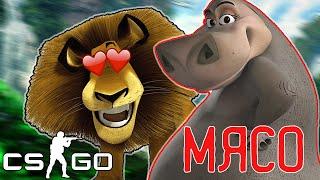 Нычки на карте Madagascar {Hide and Seek}