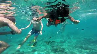 Snorkeling Loh  Sama Bay, Maya bay, Phi Phi