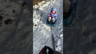 How I walk the dog with a 2 year old  #mumlife #mumlifeuk #christmas #wintersnow #snowwalks