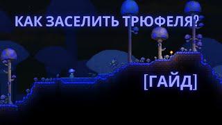 Как заселить Трюфеля?!|Terraria|Гайд|