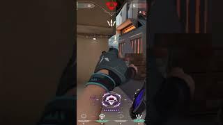 MINI SK ROSSI BOLTE | FIRST TIME JET IN IMMORTAL COMP | 4K DYNOO