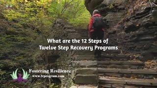 What are the 12 Steps of the 12 Step Recovery Programs