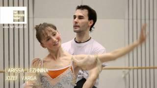 Sleeping Beauty principal roles cast list (Dutch National Ballet)