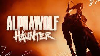 Alpha Wolf - Haunter (Live in Melbourne)