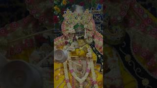 Shri radha shri radha #vrindavan #radhavallabhlal