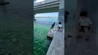 Big Grouper Caught From Bridge #goliathgrouper #grouperfish #saltwaterfishing #inshorefishing