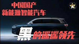 中国国产新能源先进汽车，黑的遥遥领先！【狗哥黑色周末】