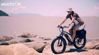 Multijoy Spaniel Ebike: Go Faster and Further / LG High Quality Battery / LCD Color Display.