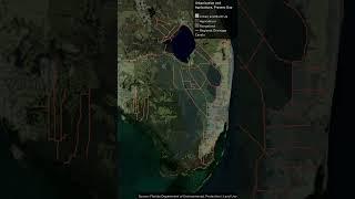 Bright Lit Place: The Changing Everglades