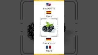 #Blackberry #Mora #Brombeere #Mûre#fruit #learnspanish #learnenglish #newdaylanguage #newdayspanish