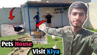 Pets House  Visit Kiya | Saim Nadeem vlogs