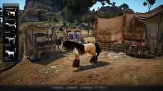 Black Desert T9 Awakening from T8: How to get Arduanatt / Pegasus Dream Horse