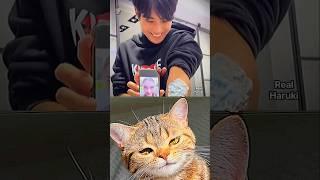 It was funny what can I say  #cat #meme #dance