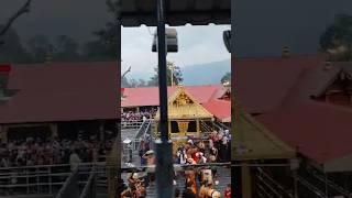 Ayyappa Swamy #ayyappa #ayyappaswamy #ayyappan #ayyappaswamysongs #shorts #sabarimala #trending