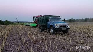 No-Till Збираємо соняшник LG.