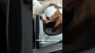 Мой первый перелет с 