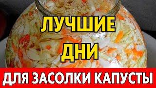 Октябрь 2023 - СОЛИМ, КВАСИМ КАПУСТУ по лунному календарю. Лунный календарь засолки капусты