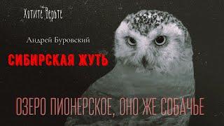 Сибирская Жуть: ОЗЕРО ПИОНЕРСКОЕ, ОНО ЖЕ СОБАЧЬЕ Сентябрь 1969 г. (автор: Андрей Буровский).