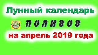 Лунный календарь поливов на апрель 2019 года