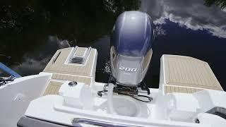 Катер HAMMERTONE 25 HT