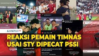 Reaksi Pemain Timnas Indonesia Usai Shin Tae-yong Dipecat PSSI