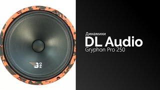 Распаковка динамиков DL Audio Gryphon Pro 250