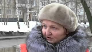 Оттепель позволила развернуть в Ярославле масштабный