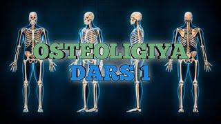 Osteologiya 1-DARS